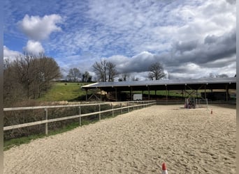 Volledig uitgeruste manege!