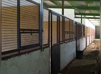 Volledig uitgeruste paardenboerderij – 24 ha – Cáceres