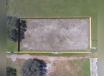 Volledig uitgeruste paardenboerderij – 24 ha – Cáceres
