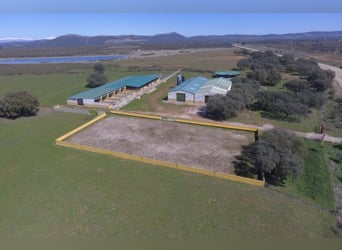 Volledig uitgeruste paardenboerderij – 24 ha – Cáceres