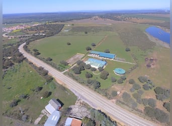 Volledig uitgeruste paardenboerderij – 24 ha – Cáceres