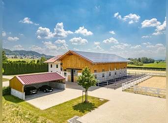 Voor paardenliefhebbers: Nieuw luxe ruitersportcentrum in het Allgäu