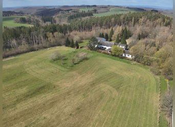 Vrijheid op 17 hectare: Ruim landgoed in afgelegen locatie met manege, zwembad en uitbreidingsmogeli
