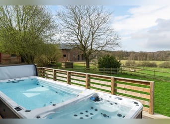 Welcome to this unique and thoughtfully designed equestrian property in Sweden 7,2 ha
