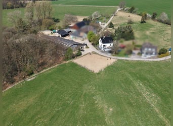 Welkom met uw paarden in uw nieuwe thuis!