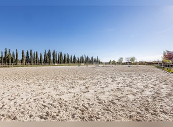 Winstgevende paardenstallen - Transitbedrijf