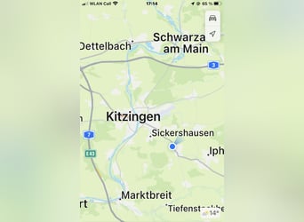 Wohnen mit Pferden in 97350 Mainbernheim-Direkt vom Eigentümer