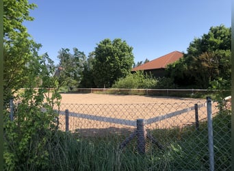 Wohnen mit Pferden in 97350 Mainbernheim-Direkt vom Eigentümer
