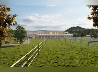 Zeldzaamheid voor paardenliefhebbers - een paradijselijk landgoed