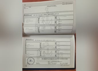 Ungarisches Sportpferd, Stute, 3 Jahre, 165 cm, Dunkelbrauner