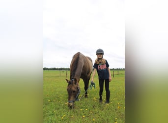 Verzorgpony gezocht: Moeder en dochter zoeken samen een rustige pony