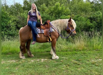 Weitere Kaltblüter, Stute, 10 Jahre, 155 cm, Dunkelfuchs