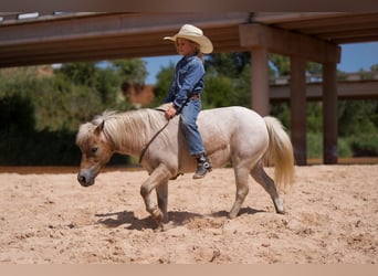 Weitere Ponys/Kleinpferde, Wallach, 7 Jahre, 97 cm, Roan-Red