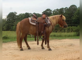 Weitere Ponys/Kleinpferde, Wallach, 10 Jahre, 89 cm, Rotfuchs