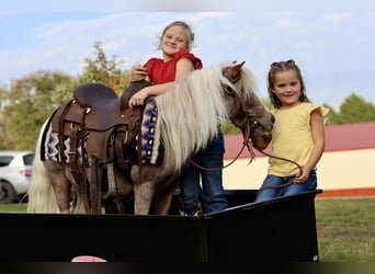 Weitere Ponys/Kleinpferde, Wallach, 10 Jahre, 89 cm, Schecke