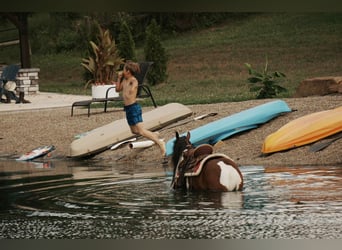 Weitere Ponys/Kleinpferde, Wallach, 9 Jahre, 122 cm, Schecke