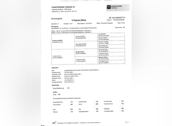 Weitere Warmblüter, Stute, 10 Jahre, 167 cm, Fuchs