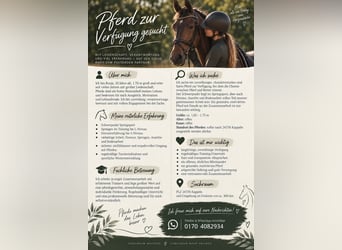 Weitere Warmblüter, Unbekannt, 10 Jahre, 170 cm