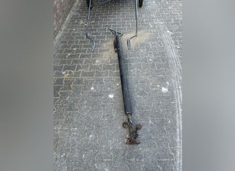 Welsh-A, Ruin, 4 Jaar, 122 cm, Schimmel