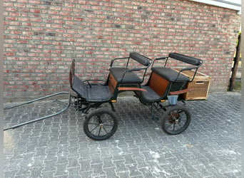 Welsh-A, Wallach, 4 Jahre, 122 cm, Schimmel