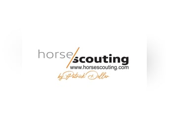 Welsh B, Gelding, 7 years, Chestnut-Red