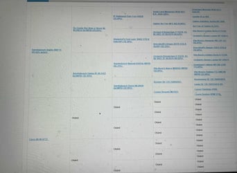 Welsh B, Mare, 2 years, 13.2 hh, Grey