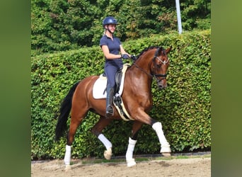 Westfaal, Ruin, 4 Jaar