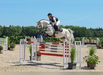 Westfaal, Ruin, 7 Jaar, Schimmel