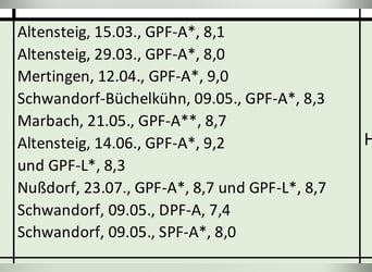 Westfale, Stute, 5 Jahre, 167 cm, Fuchs