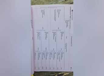 Westfaliano, Yegua, 7 años, 170 cm, Alazán