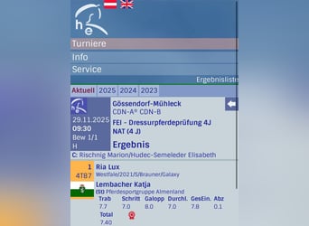 Westphalian, Mare, 5 years, 16.1 hh, Brown