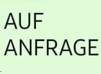 Würtemberger, Jument, 14 Ans, 168 cm, Alezan