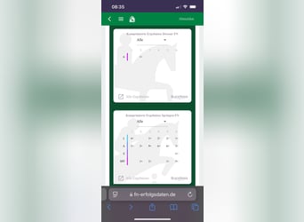 Wuerttemberg, Gelding, 14 years, 16,2 hh, Brown