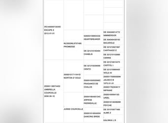 Zangersheide, Giumenta, 5 Anni, 173 cm, Baio ciliegia