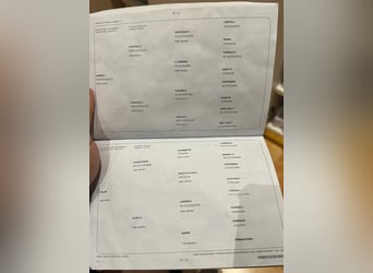 Zangersheide, Ruin, 3 Jaar, 169 cm, Rood schimmel