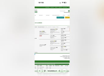 Zangersheide, Wałach, 10 lat, 173 cm, Ciemnogniada