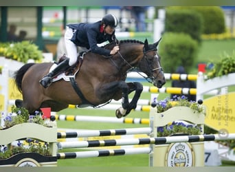 Zangersheider, Inconnu, Embryon