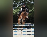preview pic