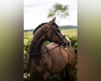 preview pic