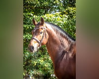 preview pic