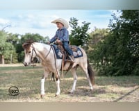 preview pic