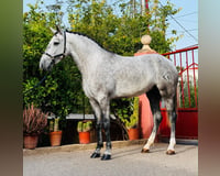preview pic