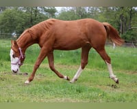 preview pic