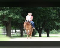preview pic