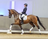 preview pic