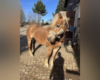 preview pic