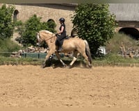 preview pic