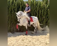 preview pic