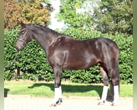 preview pic