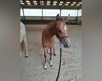 preview pic